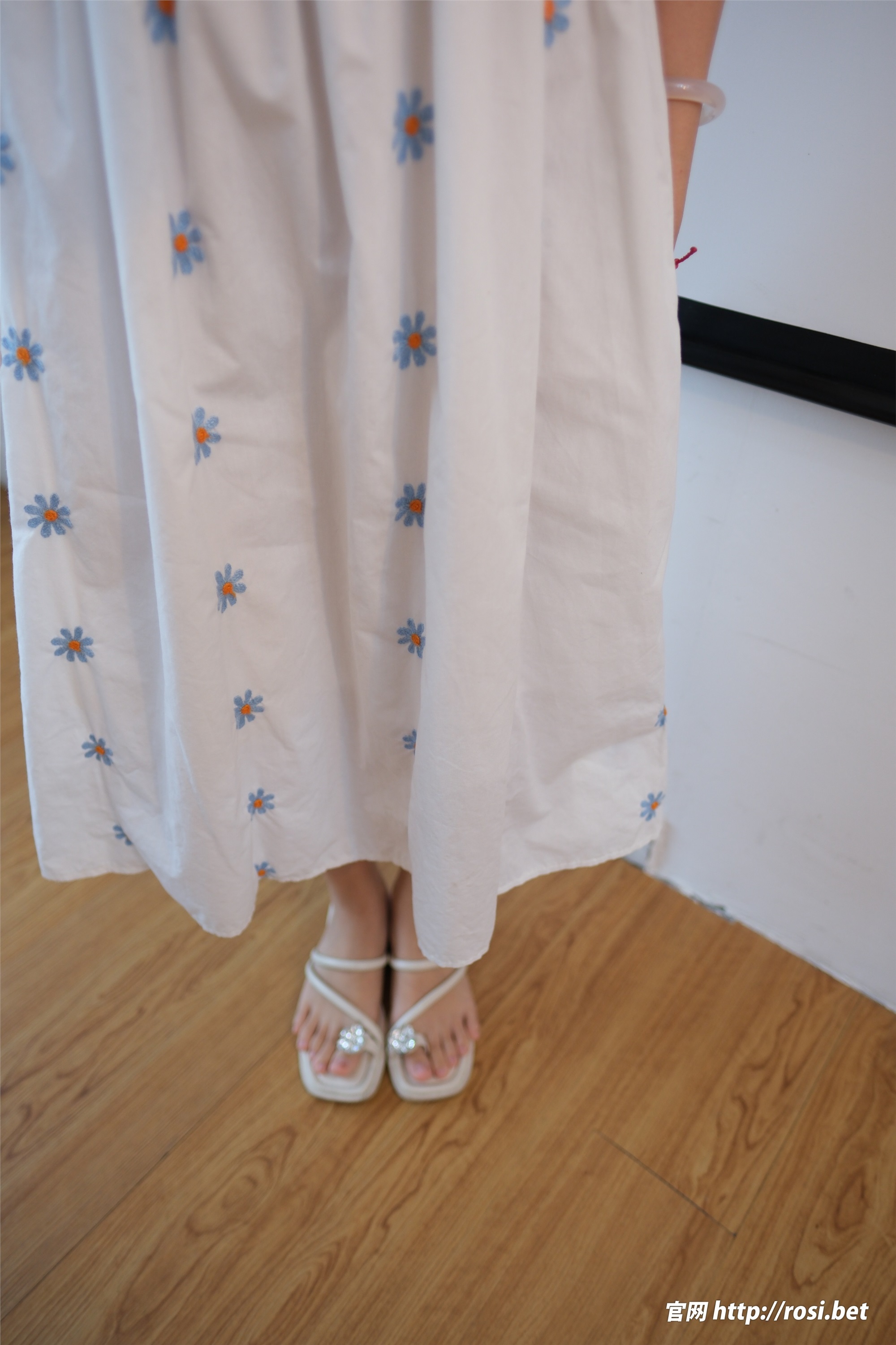 ROSI写真 2024.11.20 NO.4734